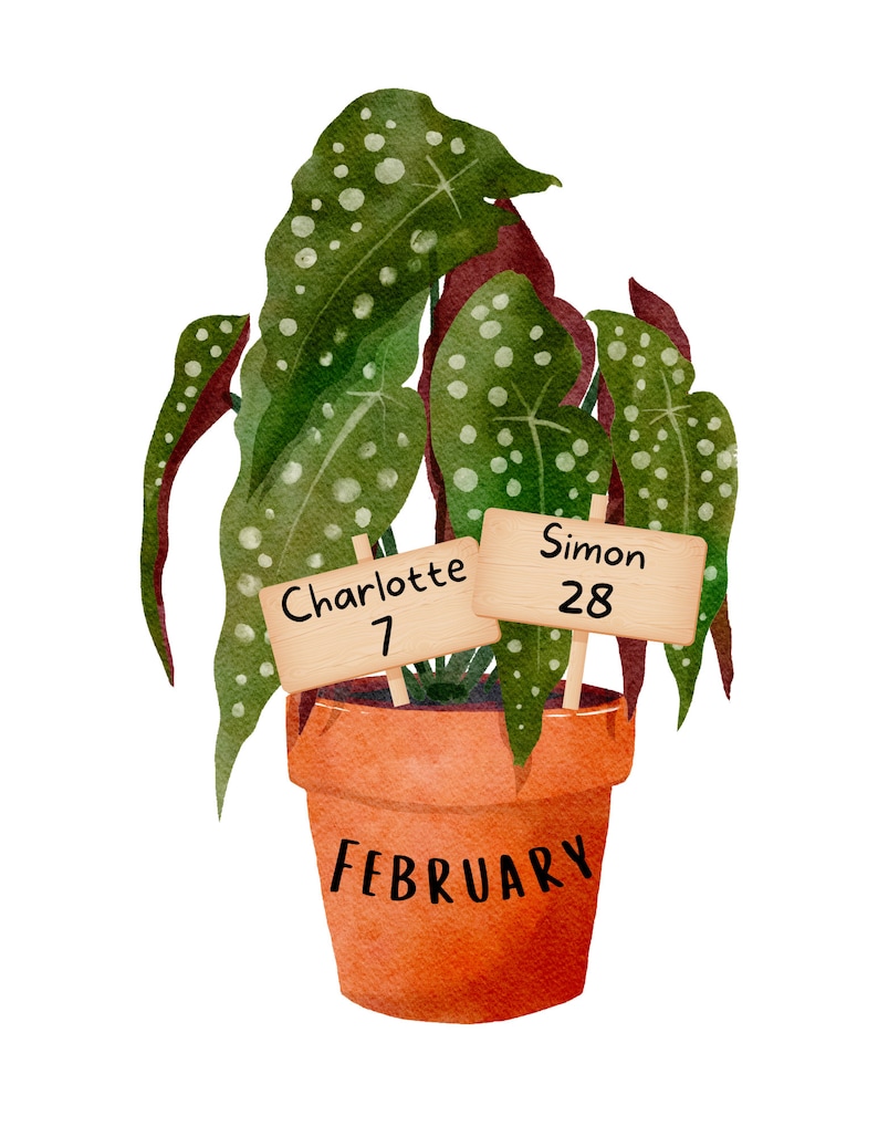 May include: A potted plant with green leaves with white spots and red stems. The pot is brown and has the word "FEBRUARY" written on it. There are two wooden signs in the pot, one says "Charlotte 7" and the other says "Simon 28".