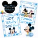 see more listings in the Mickey & Minnie Mouse section