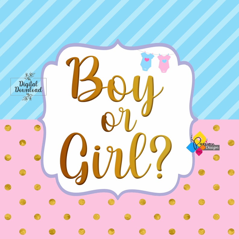 Printable Boy or Girl GENDER REVEAL Backdrop. He or She Party | Etsy