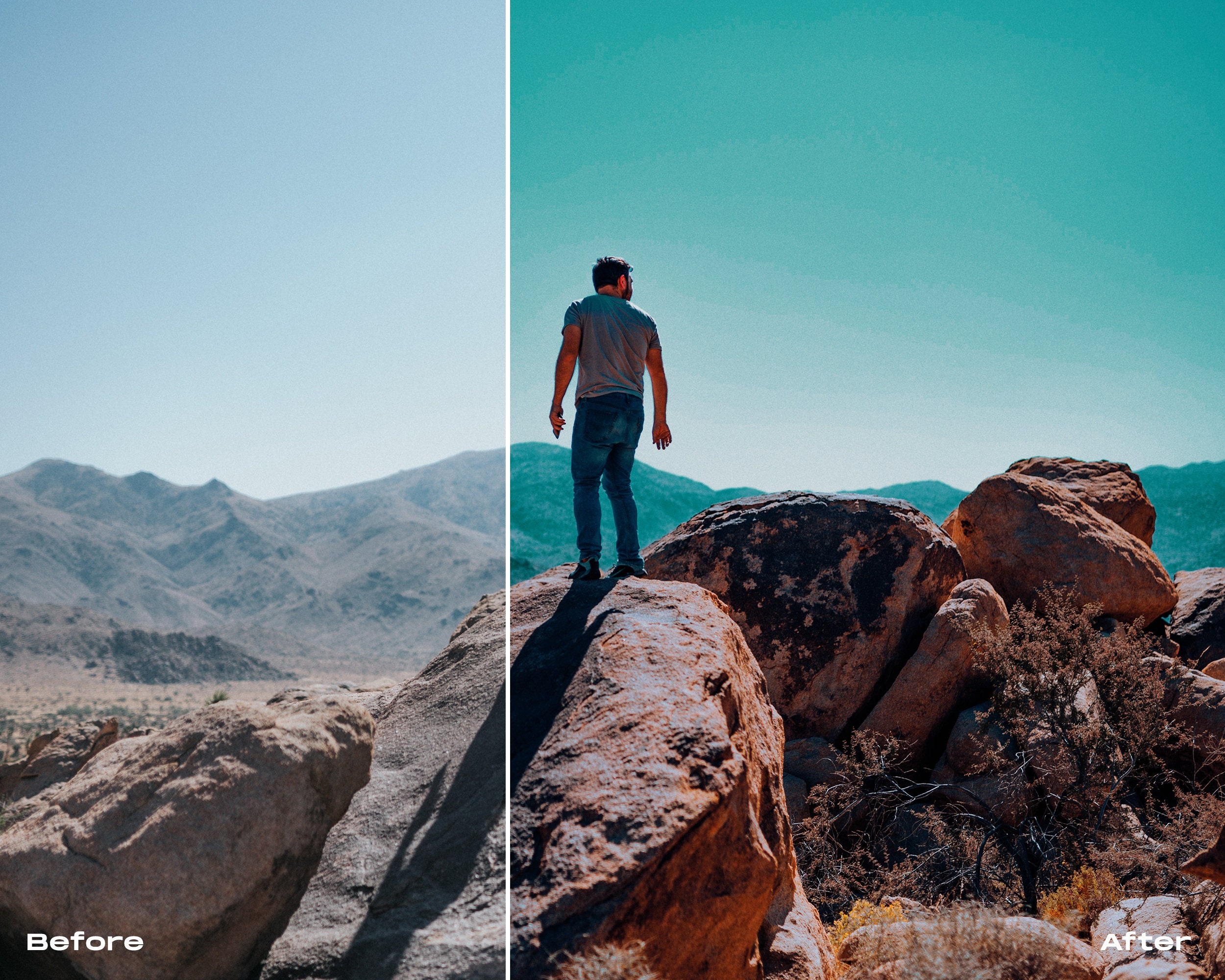15 Creator Film Luts for Color Grading Video and Photo | Adobe After ...