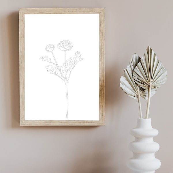 Ranunculus line art| botanical line art | floral wall art | ranunculus| Flower line drawing| illustrated flower| Simple line art| Floral