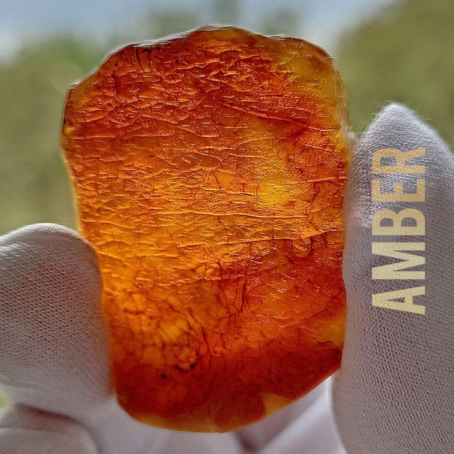 Pine Trees AMBER STONE Natural Amber Piece