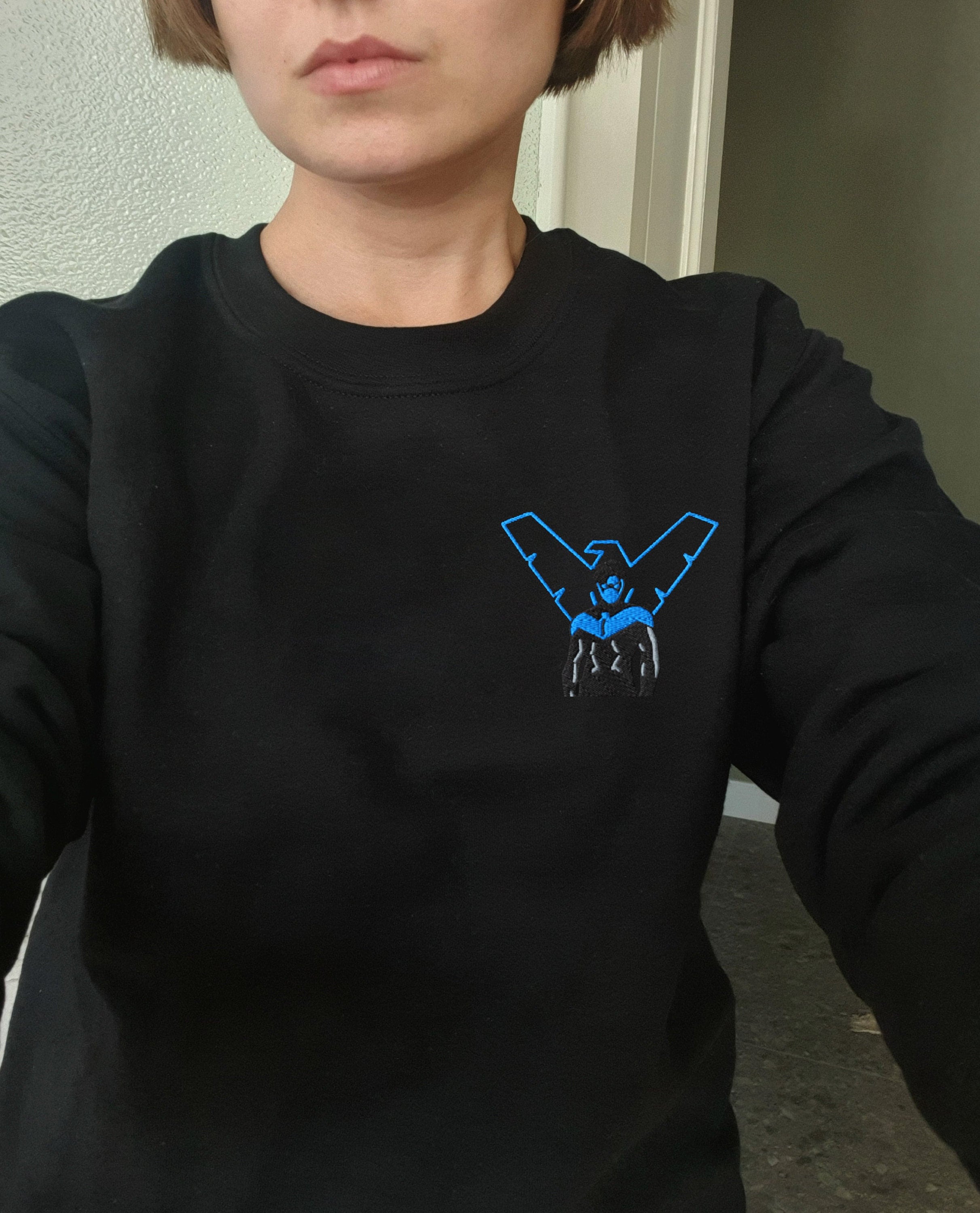 Nightwing hoodie shop