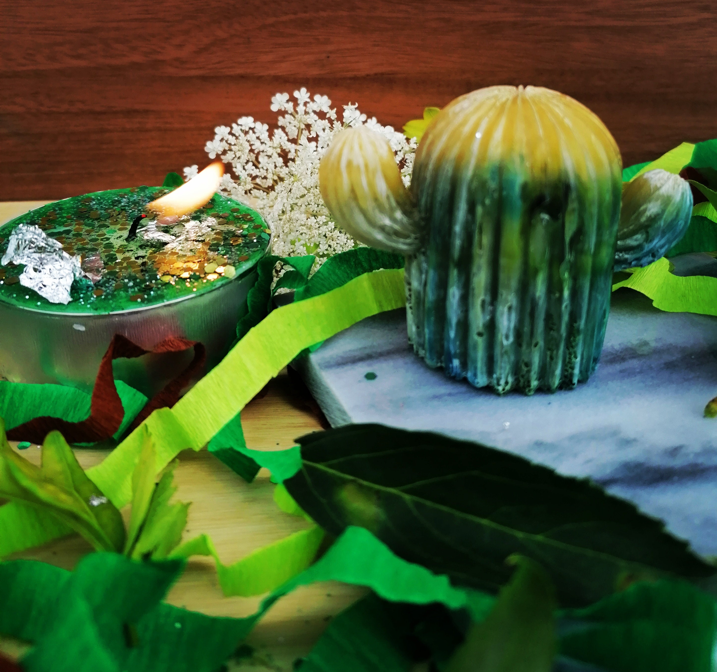 Petit Cactus Décoration