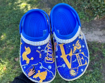 SGRho Croc Design