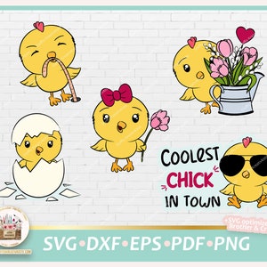 Plotterdatei Küken, Küken Ostern SVG, SVG Küken, svg niedliche Küken, Coolest Chick, Bundle Ostern Küken, Küken PNG, Küken kommerziell