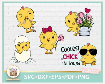 Cut file chick, chick easter SVG, SVG chick, svg cute chick, coolest chick, bundle easter chick, chick PNG, svg spring, chick commercial