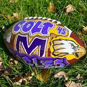 Hand Painted Sports Balls