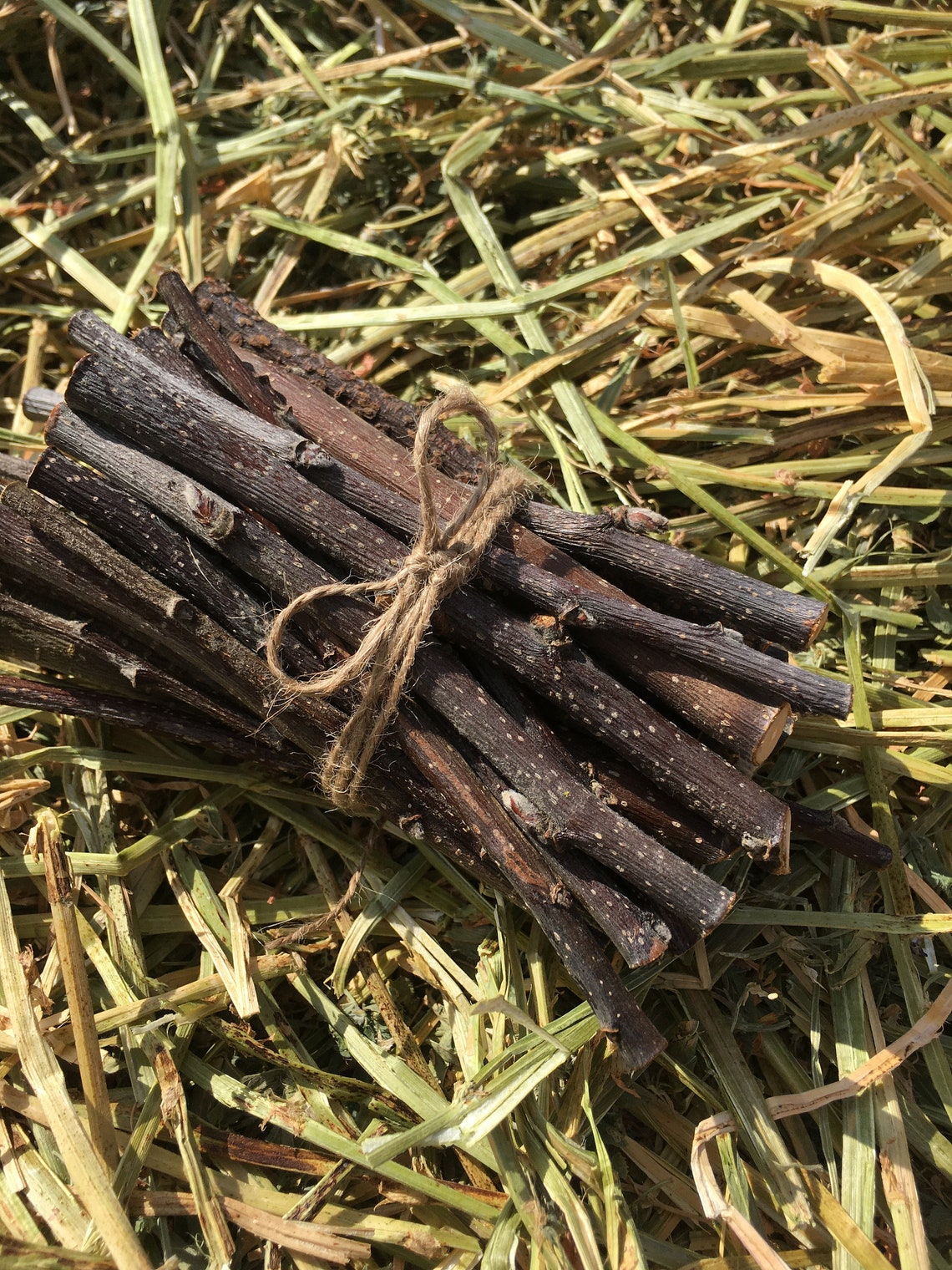 40 Premium Apple Wood Chew Sticks for Health happy rabbits Etsy