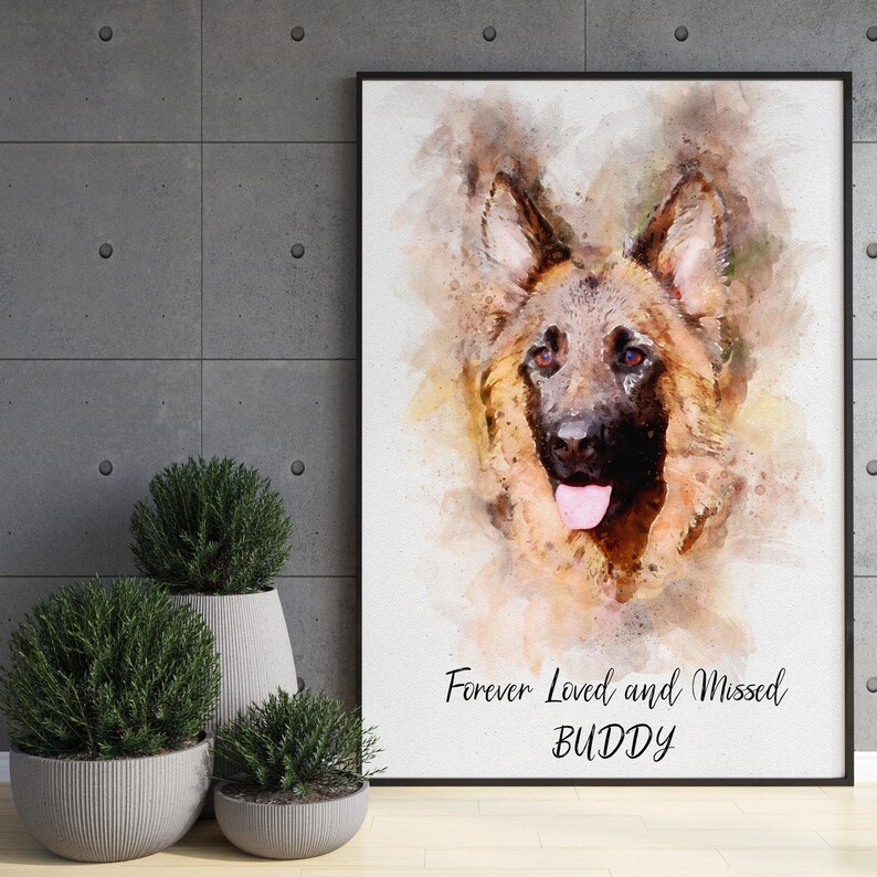 May include: A watercolor painting of a German Shepherd dog with a pink tongue sticking out. The background is a soft white with a light brown watercolor wash. The text "Forever Loved and Missed BUDDY" is written in black at the bottom of the painting.
