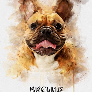 May include: A watercolor painting of a French Bulldog with brown and white fur. The dog has its tongue sticking out and is looking directly at the viewer. The painting is set against a white background with the name "BROWNIE" written in black below the dog.
