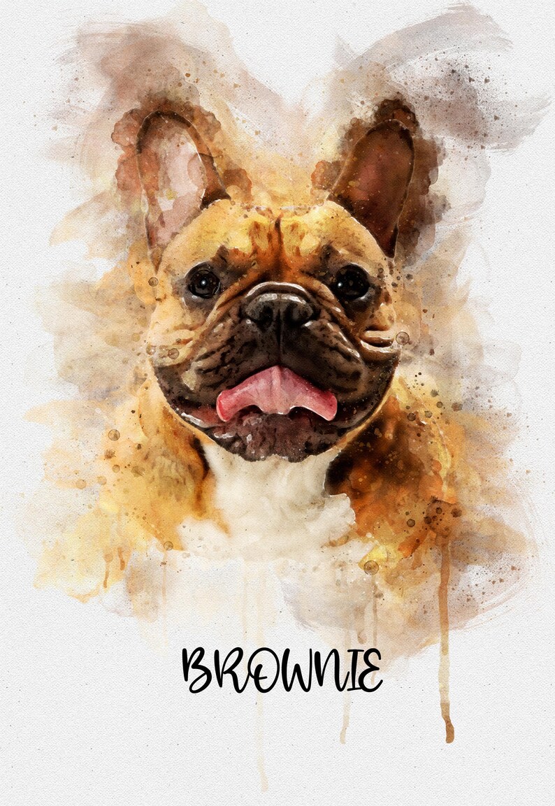 May include: A watercolor painting of a French Bulldog with brown and white fur. The dog has its tongue sticking out and is looking directly at the viewer. The painting is set against a white background with the name "BROWNIE" written in black below the dog.