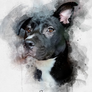 Watercolor Pet Portrait From Photo Personalized Gift For Her/Women Girlfriend Gift Dog Portrait Pet Memorial Dog Mom Christmas Gift for Him