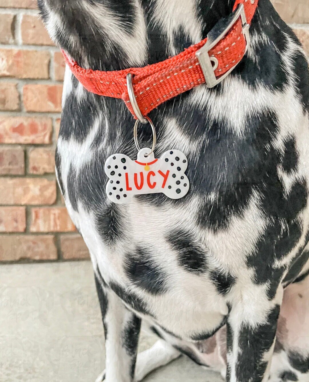 Dalmatian Print Dog ID Tag Customizable Dalmatian Dog ID Tag Cartoon ...