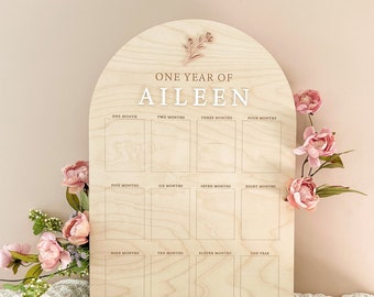 First Year Birthday Board | Monthly Milestone Photo Board |One Year Of | My First Year | Wildflower Enchanted Fairy Garden