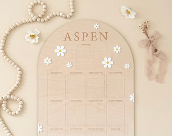 First Year Birthday Board | Monthly Milestone Photo Board | One Year Of | My First Year | Newborn Photo | Boho Daisy Party Decoration