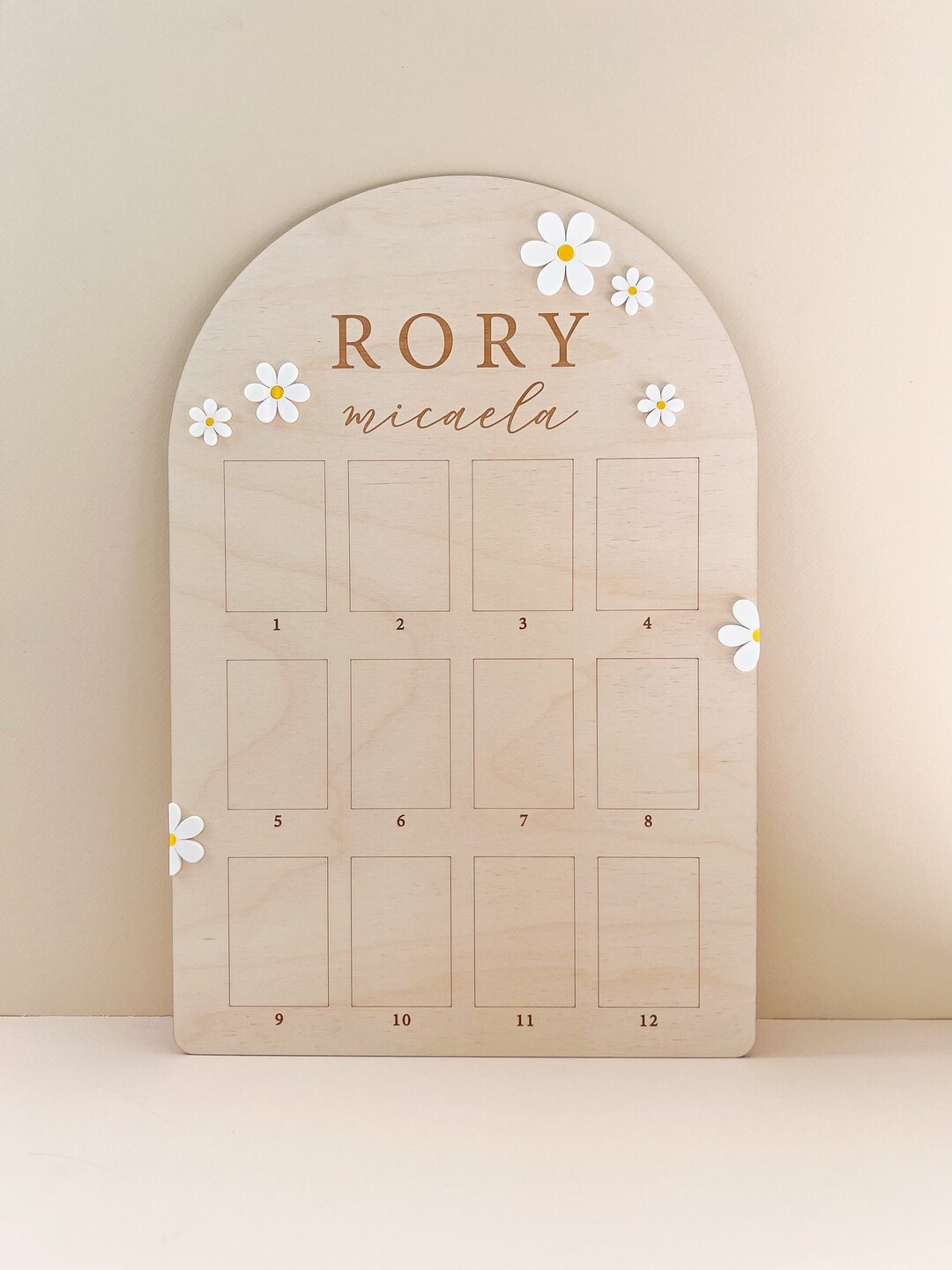 First Year Birthday Board Monthly Milestone Photo Board One Year of My First Year Boho Daisy