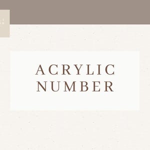 Individual Acrylic Numbers