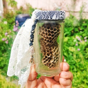 May include: A clear glass jar with a honeycomb inside. The jar has a decorative lid with white lace and a dark blue cord with silver beads and a bee charm. The background is blurred green foliage.