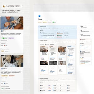 K&ouml;nnte beinhalten: Ein digitales Dokument mit dem Titel "PLATFORM PAGES" und gewidmeten Seiten f&uuml;r jede Social-Media-Plattform. Es enth&auml;lt Abschnitte f&uuml;r E-Mail und TikTok, die Follower-Zahlen und Posting-Zeitpl&auml;ne anzeigen.