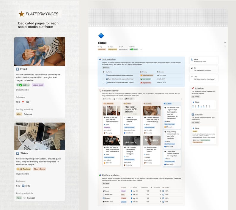 K&ouml;nnte beinhalten: Ein digitales Dokument mit dem Titel "PLATFORM PAGES" und gewidmeten Seiten f&uuml;r jede Social-Media-Plattform. Es enth&auml;lt Abschnitte f&uuml;r E-Mail und TikTok, die Follower-Zahlen und Posting-Zeitpl&auml;ne anzeigen.