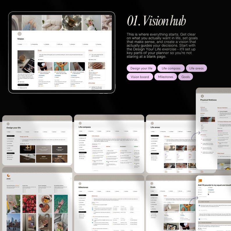 May include: A computer screen displaying a website with the title "Vision Hub". The website is divided into sections, including "Design Your Life", "Life Compass", "Life Areas", "Vision Board", "Milestones", and "Goals".