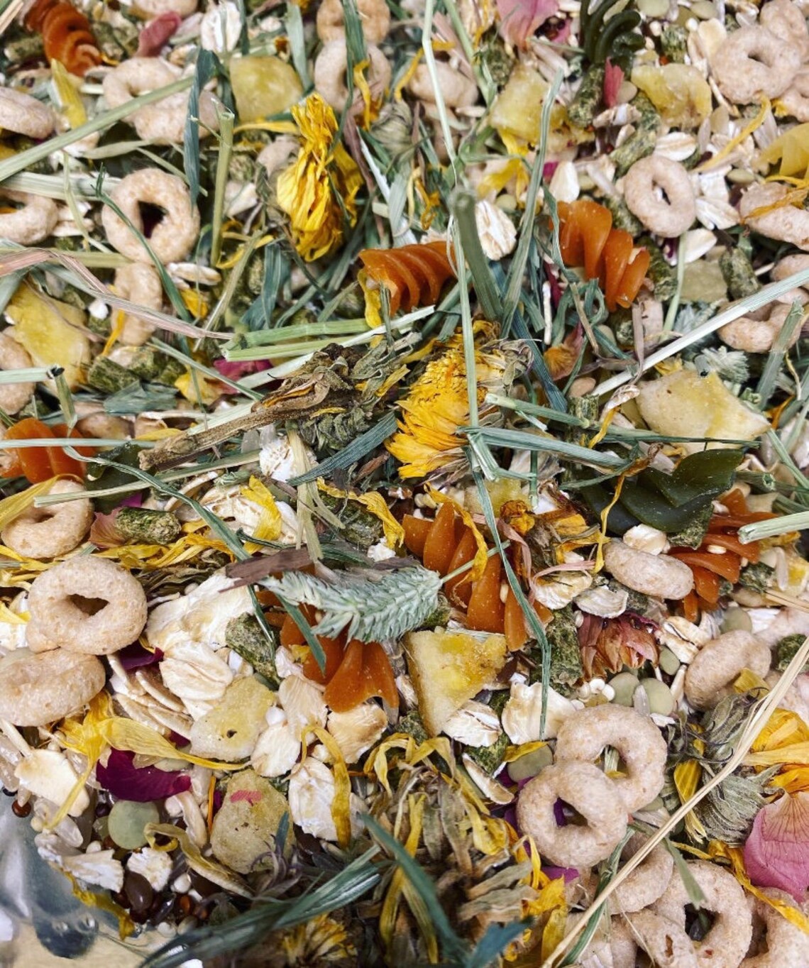 Mouse treat/foraging food mouse enrichment Etsy