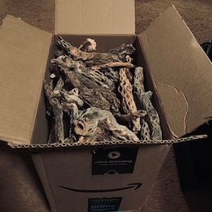 100 small length Cholla Skeletons! Bulk pricing.