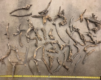 40 medium/long Cholla Skeletons! (@5-12 inches) BULK PRICING.
