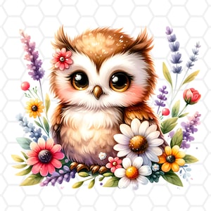 Niedliche Eulen Png Datei für Sublimation, Eule Clipart, Eule png, Eule Sublimation, Baby Eule Clipart, Tier Clipart