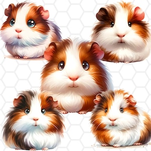 Cute guinea pig png files for sublimation, guinea pig clipart, watercolor png, watercolor clipart, guinea pig png, clipart bundle