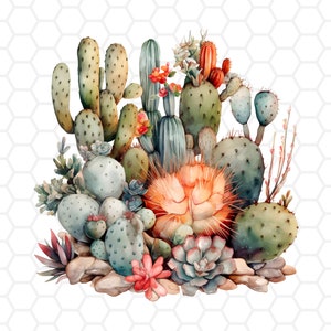 Archivo png de cactus del desierto para sublimación, sublimación de cactus, imágenes prediseñadas de cactus, png de cactus, png de planta de cactus, imágenes prediseñadas de plantas de cactus