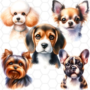 Niedliche Hund Png-Dateien für Sublimation, Hund Clipart, Hundesublimation, Beagle, Pudel, Chihuahua, Französische Bulldogge, Yorkshire Terrier
