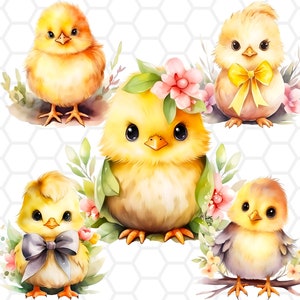Ostern Küken PNG-Dateien für Sublimation, Ostern Huhn PNG, Huhn Clipart, Huhn PNG, Ostern Küken Clipart, Ostern Clipart, Ostern PNG