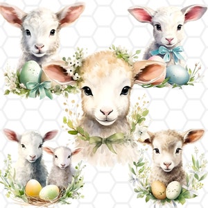Easter Lamb png files for sublimation, easter lamb clipart, easter lamb png, easter sheep clipart, easter sheep png, easter clipart