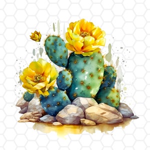 Archivo png de cactus del desierto para sublimación, sublimación de cactus, imágenes prediseñadas de cactus, png de cactus, png de planta de cactus, imágenes prediseñadas de plantas de cactus