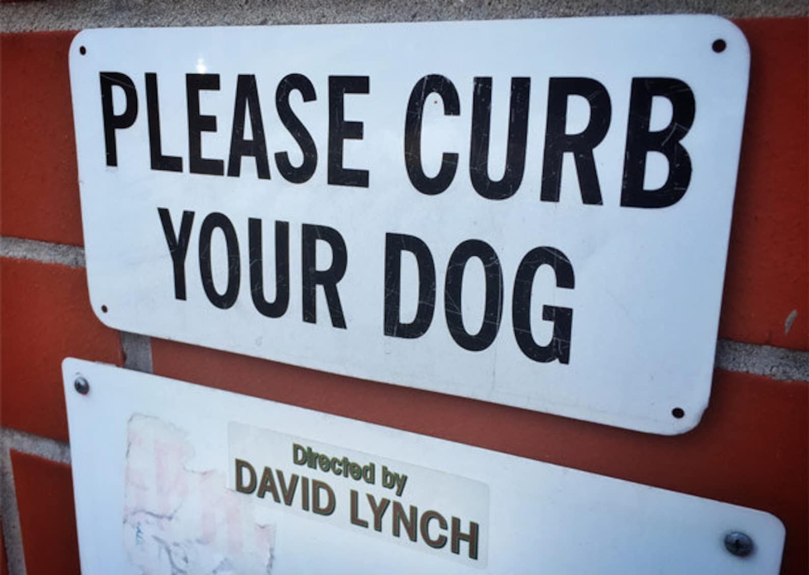 DIRECTED by DAVID LYNCH Stickers 5pack Twin Peaks Postcard Etsy