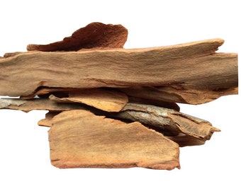 Red Cinchona Bark Quina Quinine/Jesuit Bark / Peruvian Bark ,Cinchona Calisaya