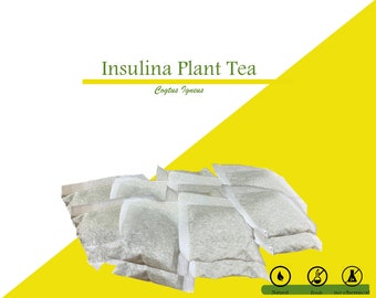 Organic Insulina Plant Tea Bags I Cogtus Igneus Gift for Mom and Family 60 Tea Bags