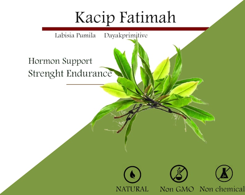 Kacip Fatimah Extract Capsule Organic Labisia Pumila Extract image 2