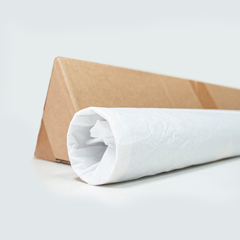 Pu&ograve; includere: Un rotolo di carta velina bianca &egrave; parzialmente srotolato e posto all'interno di una scatola di cartone marrone. La carta velina viene utilizzata per imballare e proteggere oggetti fragili.