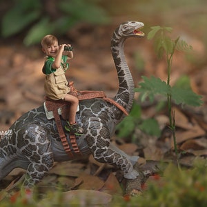 Dinosaur Riding Brontosaurus Digital Backdrop Background Photoshop PS