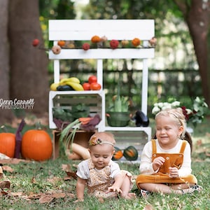 3 Pumpkin Produce Stand Fall Autumn Digital Background Backdrop