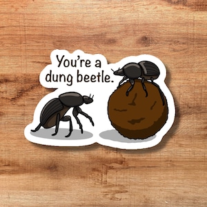 May include: A sticker featuring two cartoon dung beetles. One beetle stands beside a brown ball, while the other is atop it. The text "You're a dung beetle" is in a white speech bubble.