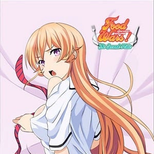 Erina nakiri dakimakura outlet