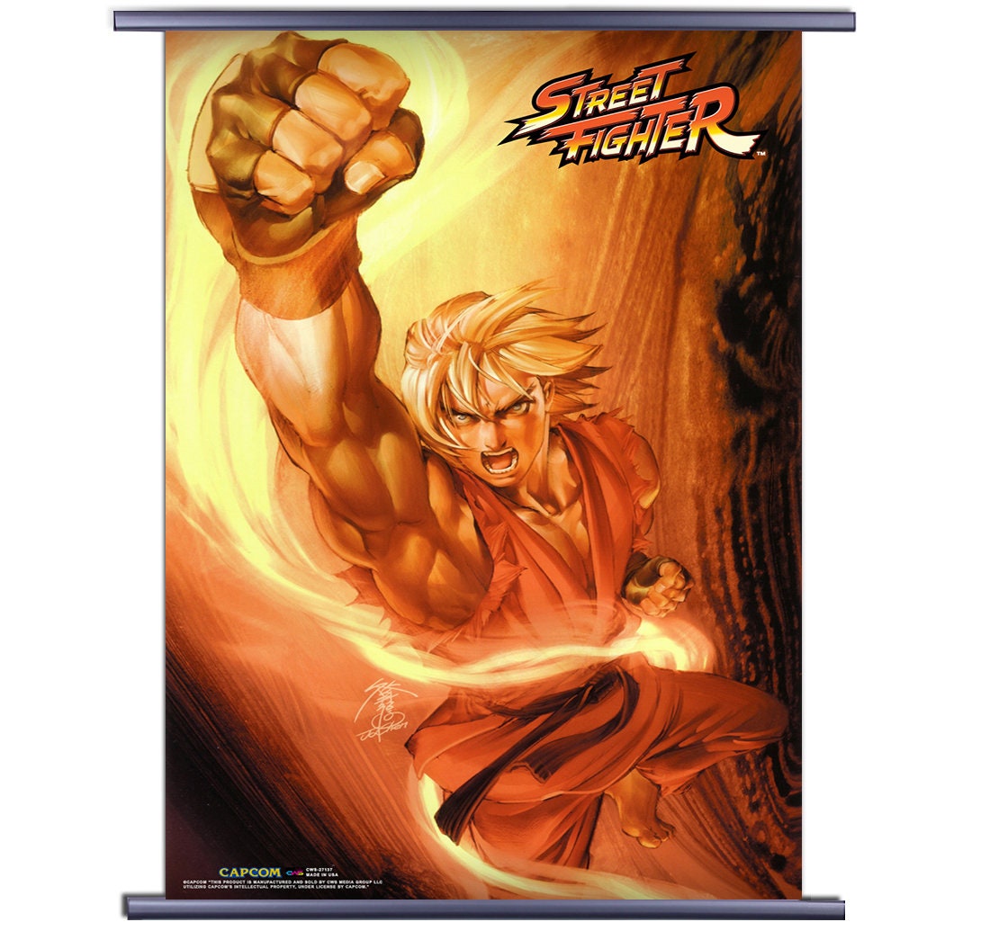 Super Street Fighter 4 Game Blanka Fabric Wall Scroll Poster (21x16) Inches  : : Home & Kitchen