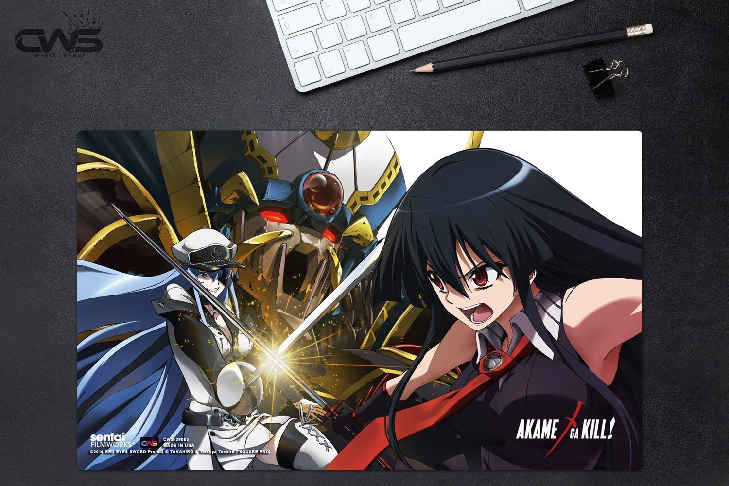 Akame ga Kill Leone' Poster, picture, metal print, paint by 80sRetro