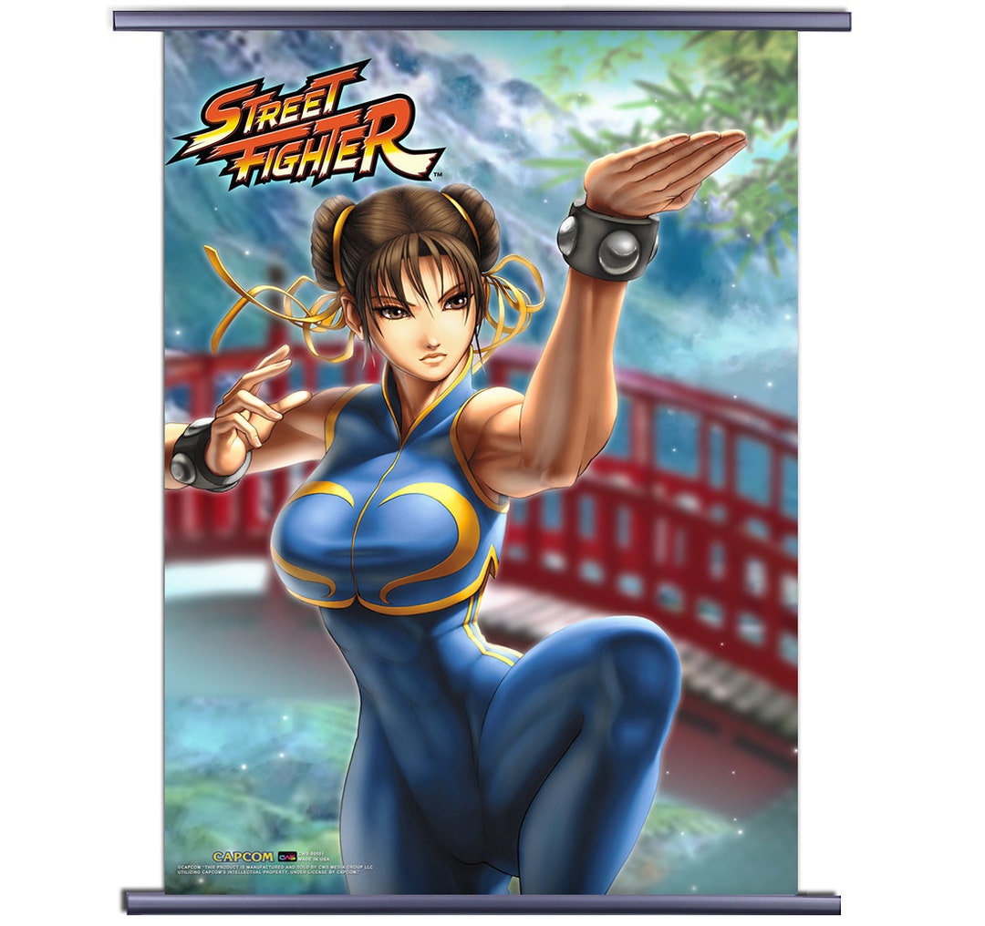 Street Fighter Alpha Ryu vs Akuma Wall Scroll Poster available at  VideoGamesNewYork, VGNY