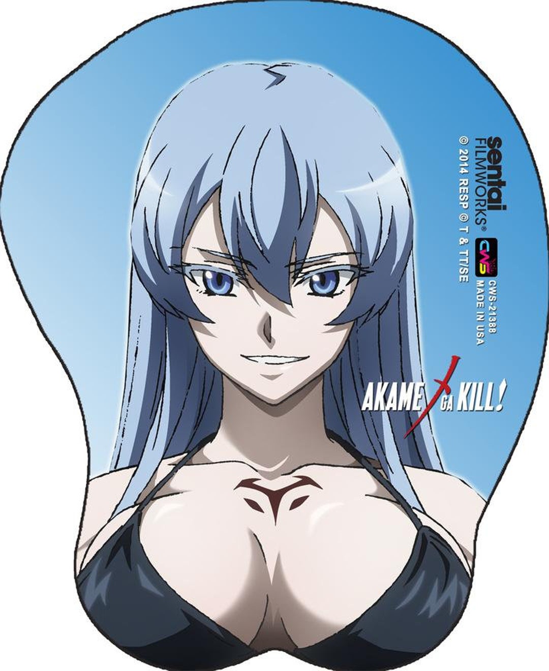 Akame ga Kill - Esdeath - Akame - Pin