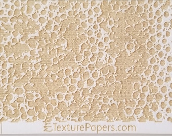 100257  7.5x2.5 Rolling Mill Laser Texture